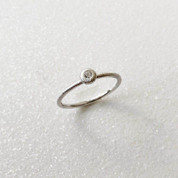 suzadetuviu ziedai vilniuje